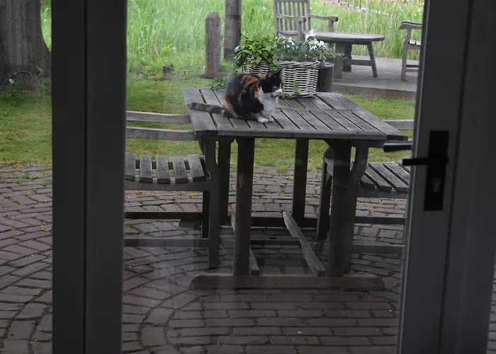 Buitenuit Vakantiehuis